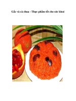 Gấc và cà chua - Thực phẩm tốt cho sức khoẻ pot