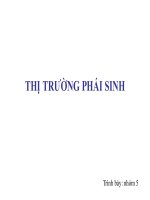 thuyết trình thị trường phái sinh