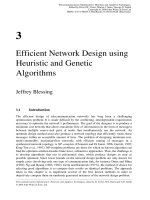 Tối ưu hóa viễn thông và thích nghi Kỹ thuật Heuristic P3 pptx