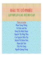 thuyết trình đầu tư cổ phiếu lợi nhuận cao, rủi ro cao