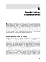 Valuing Employee Stock Options Part 8 doc