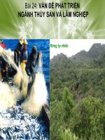 vấn đề phát triển thủy sản và lâm nghiệp