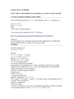 Number Theory in Mathlink docx