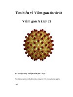 Tìm hiểu về Viêm gan do virút Viêm gan A (Kỳ 2) pptx