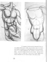 Dynamic Anatomy - Phần 6 ppsx