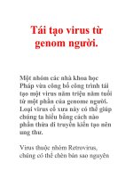 Tái tạo virus từ genom người. potx