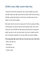 chiến lược đẩy mạnh tiêu thụ