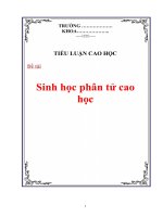 Tiểu luận :