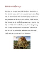 Mô hình chiến lược doc