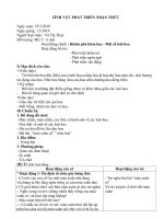 KPKH-1 số loại hoa G.án dự thi GVDG năm học 2009-2010