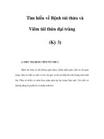 Tìm hiểu về Bệnh túi thừa và Viêm túi thừa đại tràng (Kỳ 3) pot