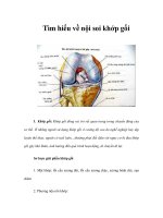Tìm hiểu về nội soi khớp gối potx