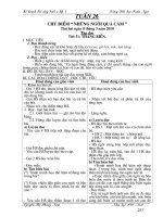 TUẦN 26 - BUỔI 1 (LỚP 4)