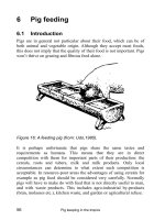 Pig keeping in the tropics - part 5 pdf