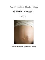 Thai Kỳ và Một số Bệnh Lý rối loạn hệ Tiêu Hóa thường gặp (Kỳ 4) doc