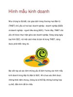 Hình mẫu kinh doanh pot