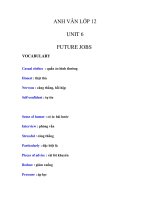 ANH VĂN LỚP 12 UNIT 6 FUTURE JOBS pdf