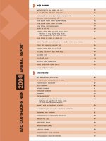 báo cáo thường niên năm 2004 ngân hàng techcombank