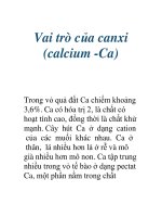 Vai trò của canxi (calcium -Ca) pptx