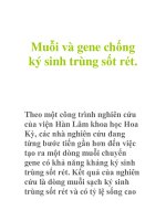 Muỗi và gene chống ký sinh trùng sốt rét. docx