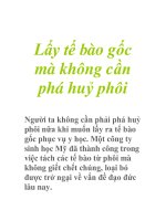 Lấy tế bào gốc mà không cần phá huỷ phôi docx