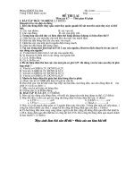 Đề thi HK II  - Vật lý 7