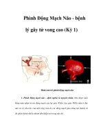 Phình Động Mạch Não - bệnh lý gây tử vong cao (Kỳ 1) docx