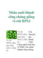 Nhân nuôi thành công chủng giống vi-rút H5N1 pps