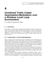 Wireless địa phương vòng - lý thuyết và ứng dụng P4 doc