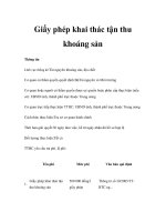 Giấy phép khai thác tận thu khoáng sản doc