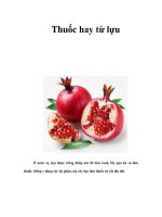 Thuốc hay từ lựu ppsx