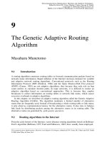 Tối ưu hóa viễn thông và thích nghi Kỹ thuật Heuristic P9 doc