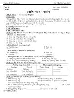 kiểm tra 1 tiết hk II