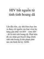 HIV bắt nguồn từ tinh tinh hoang dã docx
