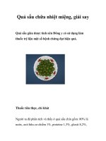 Quả sấu chữa nhiệt miệng, giải say ppsx