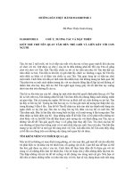 hướng dẫn thực hành floortime