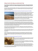 Những bí mật tàn khốc đằng sau một thành phố Ai Cập