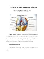 Vai trò của Kỹ thuật Nội soi trong chẩn đoán và điều trị bệnh lý khớp gối pptx