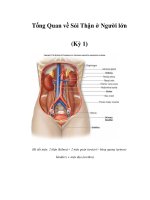 Tổng Quan về Sỏi Thận ở Người lớn (Kỳ 1) doc