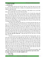 SKKN-Tổ chức một số trò choi toán học