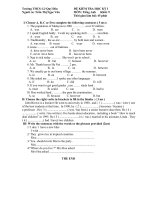 Kiểm tra Học Kì I Tiếng Anh 9
