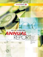 báo cáo thường niên năm 2003 ngân hàng techcombank