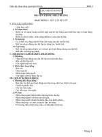 Giáo án ngoài giờ lên lớp 7 docx