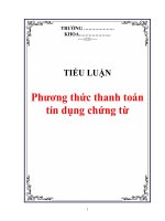Tiểu luận: