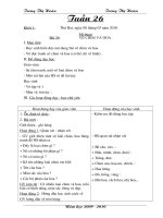 Giáo án MT Tuần 26 CKTKN CT2buoi/ngày