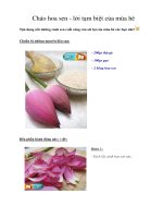 Cháo hoa sen - lời tạm biệt của mùa hè docx