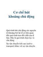 Cơ chế hút khoáng chủ động pdf