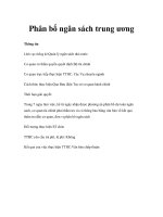 Phân bổ ngân sách trung ương docx