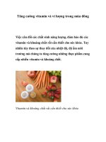 Tăng cường vitamin và vi lượng trong mùa đông doc