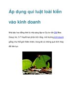 Áp dụng qui luật loài kiến vào kinh doanh doc